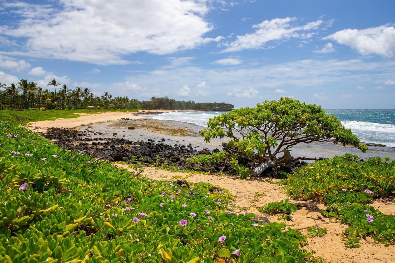 Poipu Sands 513 - Ocean Front Koloa ภายนอก รูปภาพ