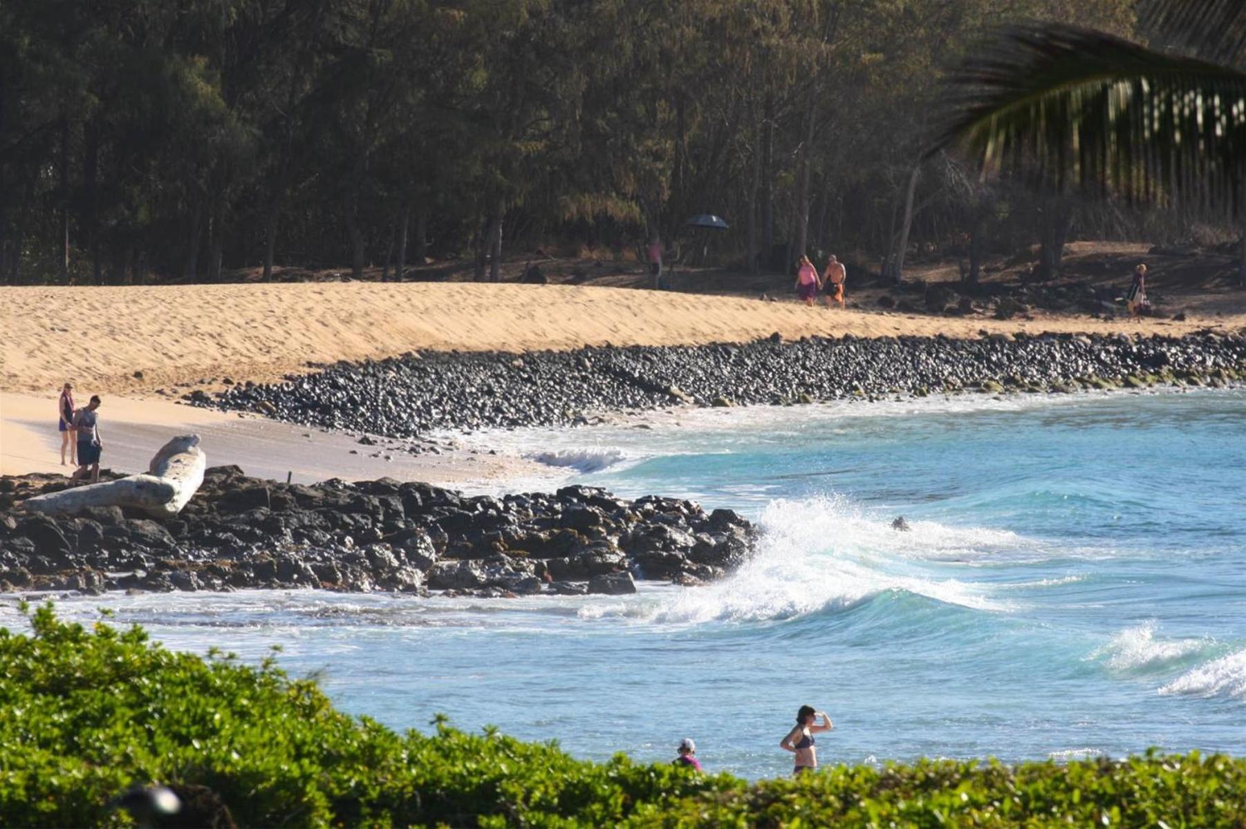 Poipu Sands 513 - Ocean Front Koloa ภายนอก รูปภาพ
