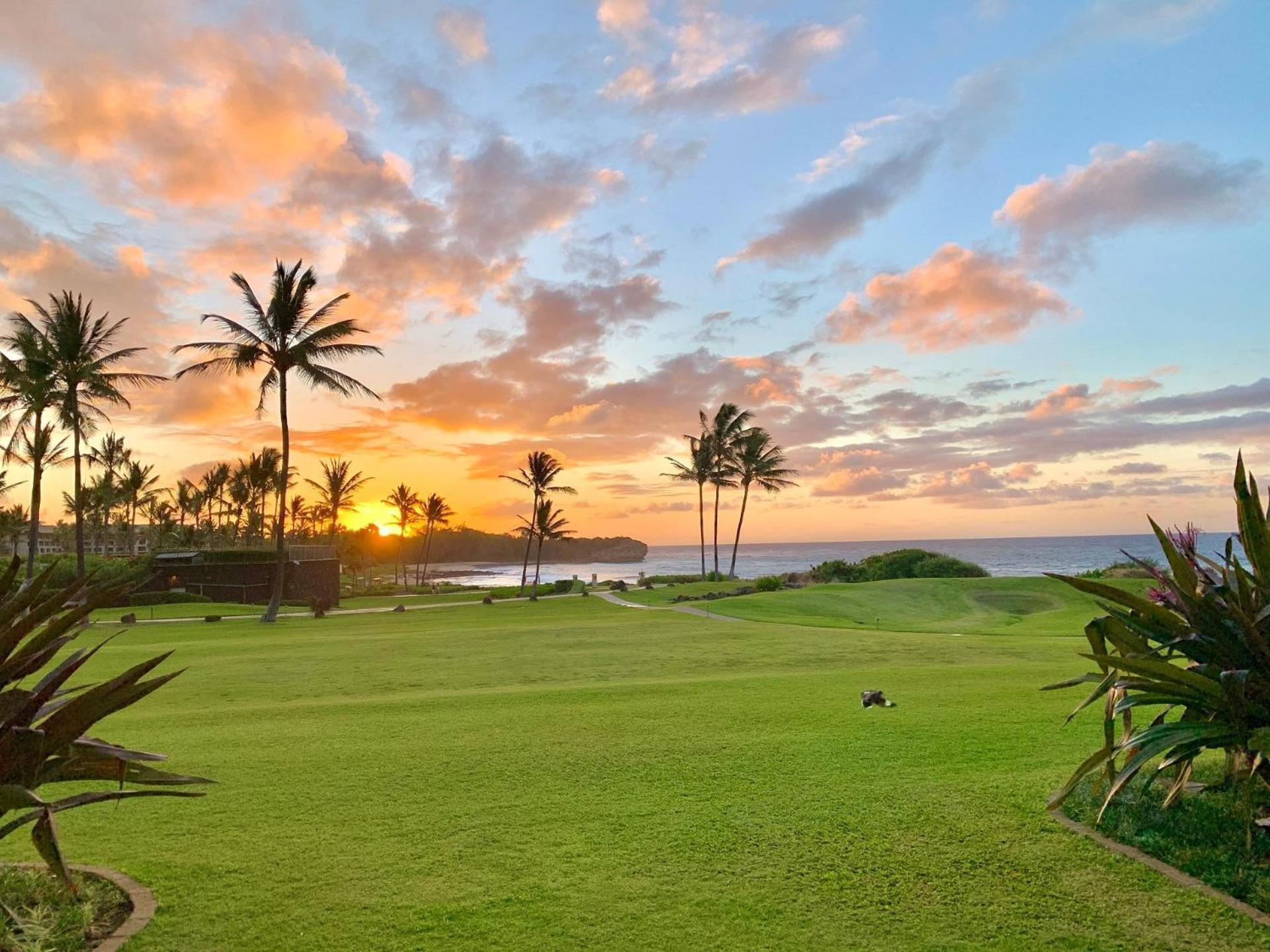Poipu Sands 513 - Ocean Front Koloa ภายนอก รูปภาพ